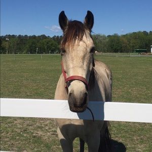 Meet your Posher, Michelle